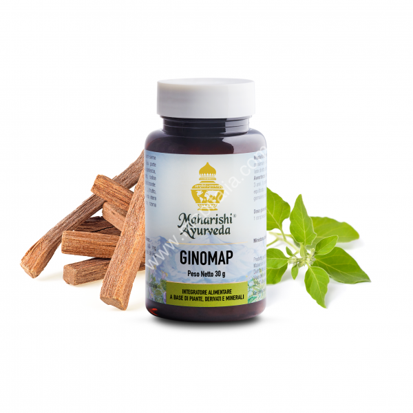 Acquista online ginomap