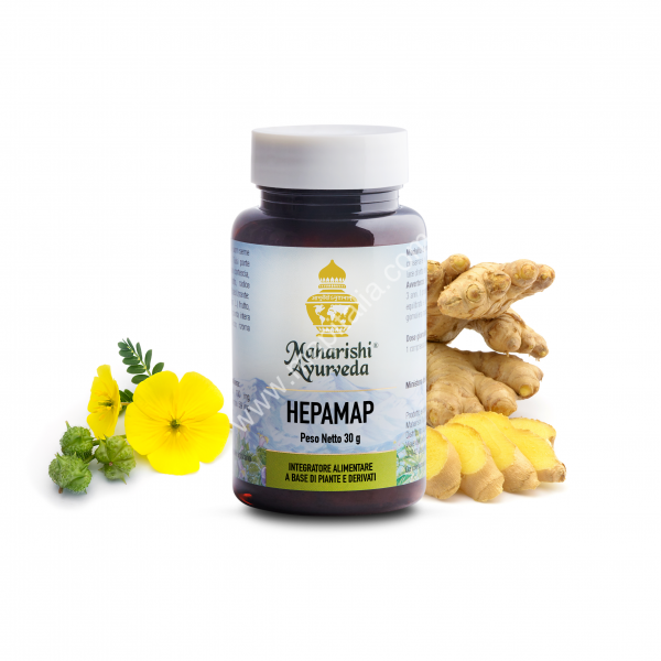 Acquista online hepamap